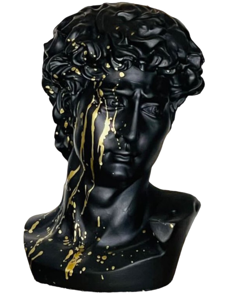 Escultura David Rostro