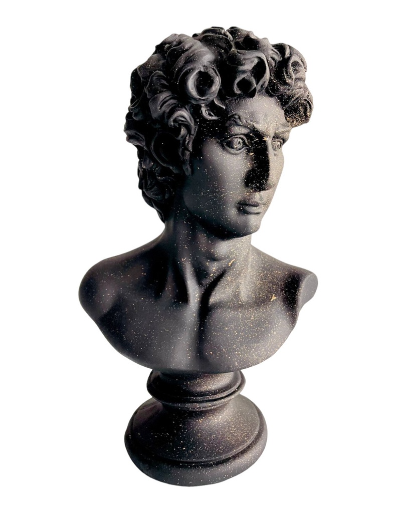 Escultura David Busto