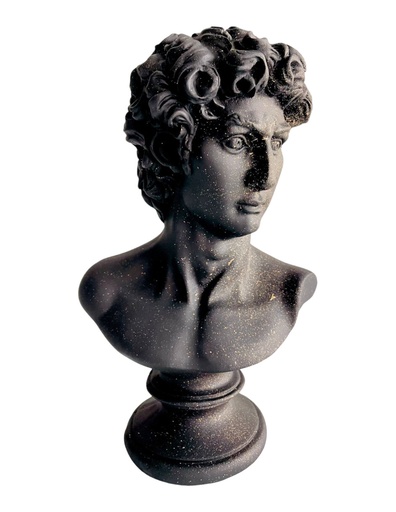 Escultura David Busto