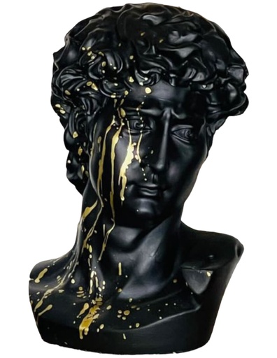 Escultura David Rostro